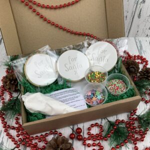 Mini Christmas Cookie (for Santa) Decorating Kit